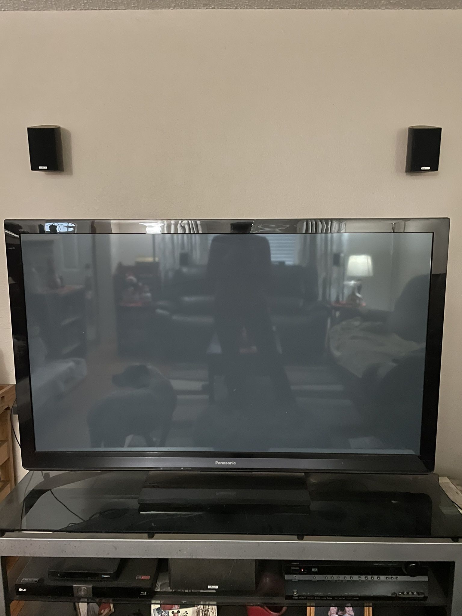 60 “ Panasonic Plasma TV