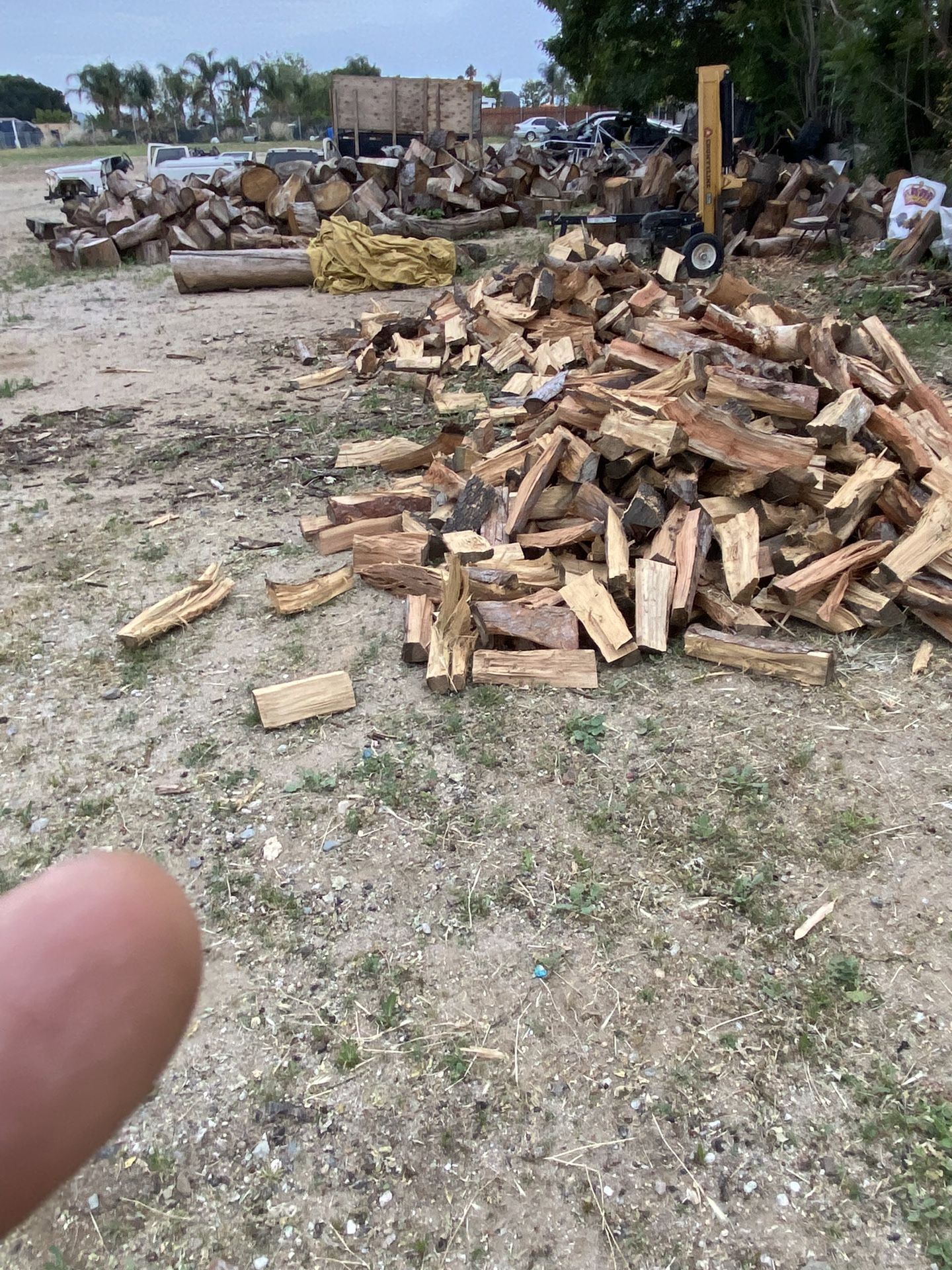 Firewood