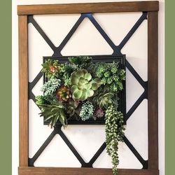 Succulents Wall Display Decor Have This Beauty  Made Today 