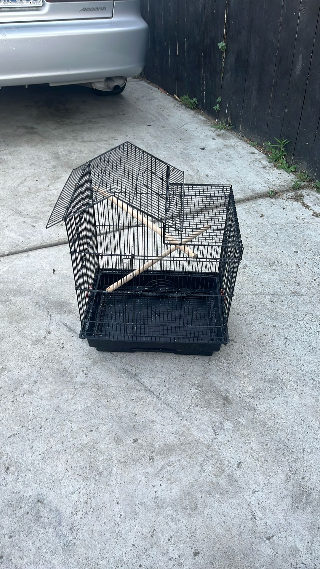 Bird Cage