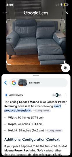 Leather couches