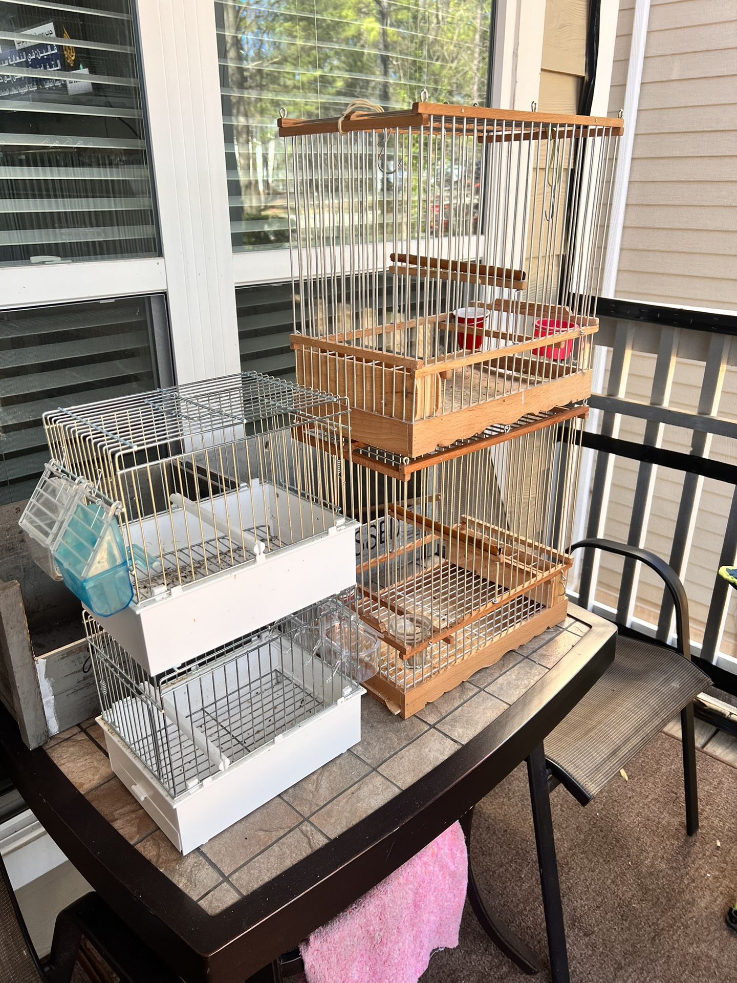 Bird Cage