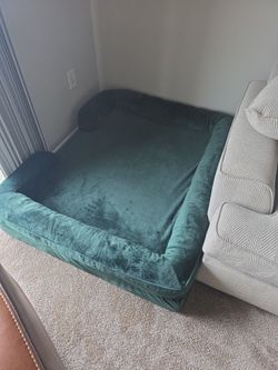 Large Green Velvet Dog Bed