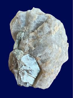 Mica With Quartz Specimen. Rocks Minerals Crystals Gemstones