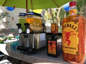 Bunn 2 - Margarita Machine