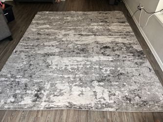 8x10 Area rug 