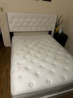 White Queen bed frame