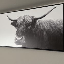 Large Ox Graphic 