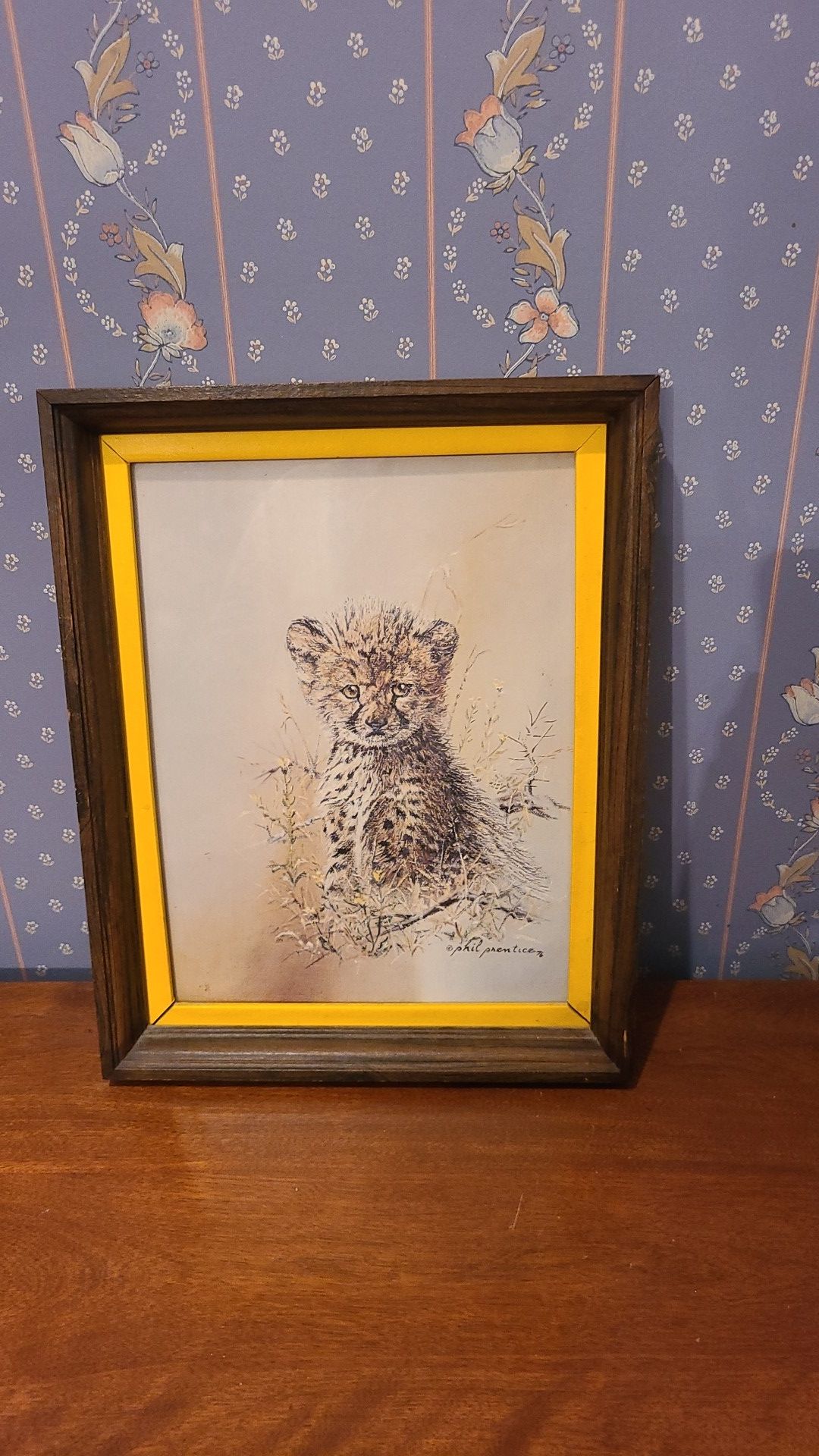 Beautiful print of cub in field by phil prentice