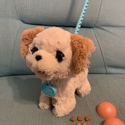 Toy