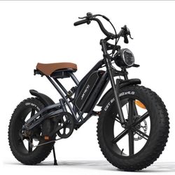 20" Electric Bike 750W 48V 14Ah Motorcycle Mountain bike MTB Fat Tire E-bike US