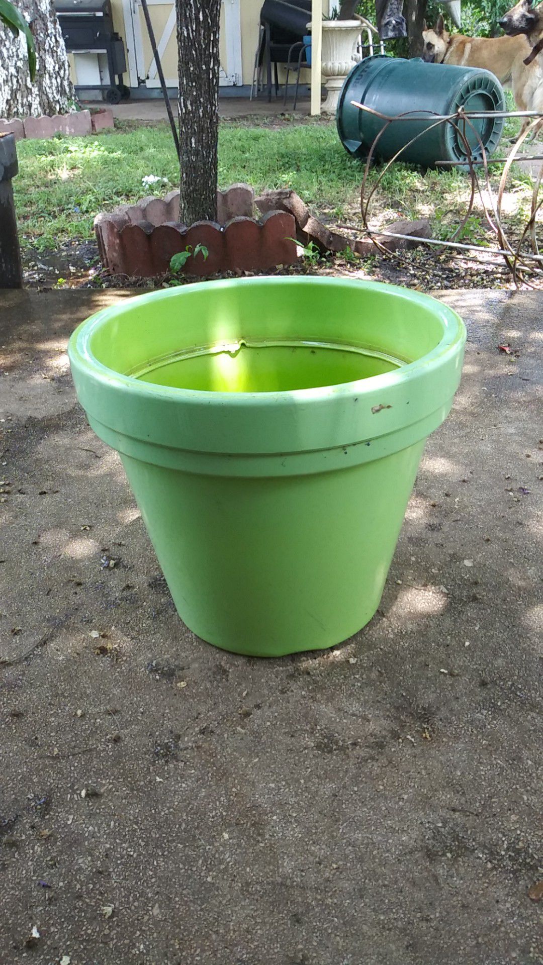 Small green plastic flower pot