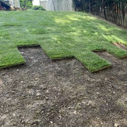 Fresh Sod 