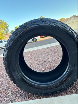 Predator hunter mxt 40x15.50x24