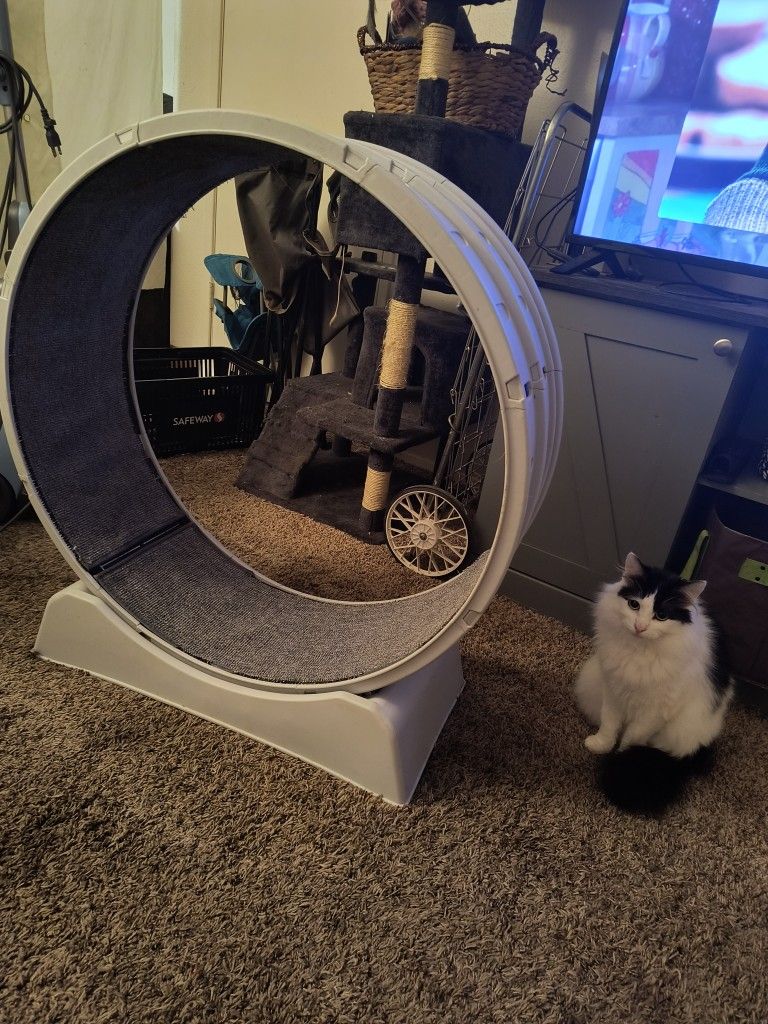 Cat Exercise Wheel