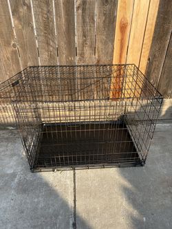 Dog Kennel