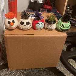 Nightmare Before Christmas Succulent Plants