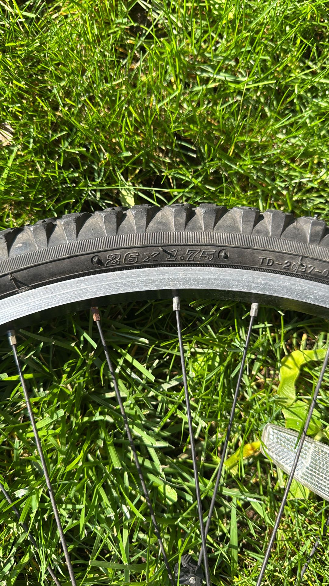 Bicycle Front Wheel