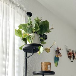 3 Tiered Rotating Metal  Plant Shelf