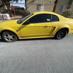 2004 Mustang