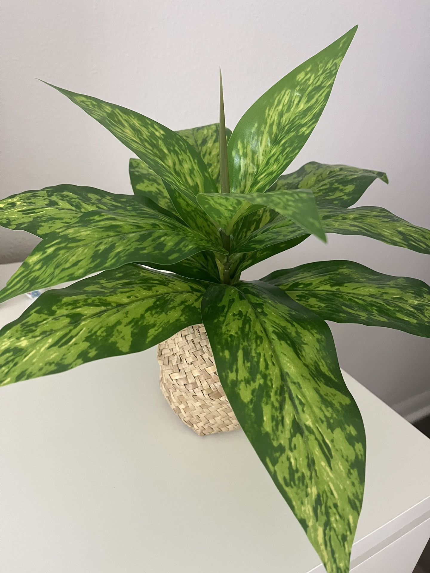 Fake Plant Decoration