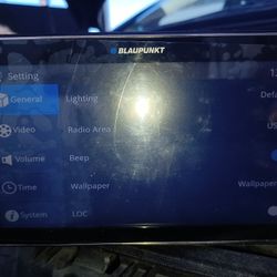 Blaupunkt Car Stereo 
