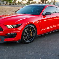17 Mustang Shelby GT350 (Hand signed By Shelby)