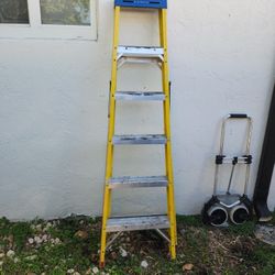 Ladder 6 foot. Ladder
