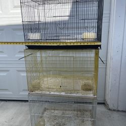 Bird Cages 