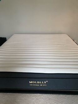 King Size Bed - 14” Mattress + Platform Bed Frame