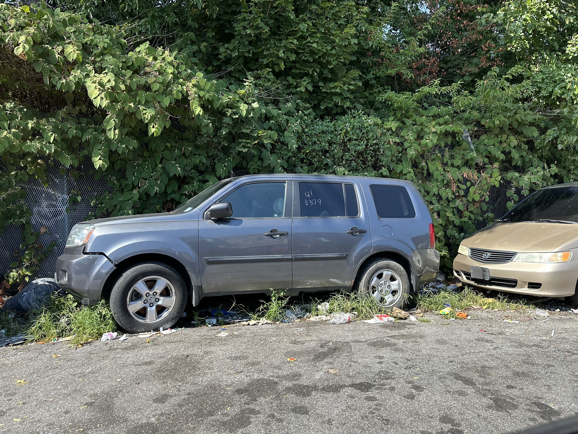 2011 Honda Pilot