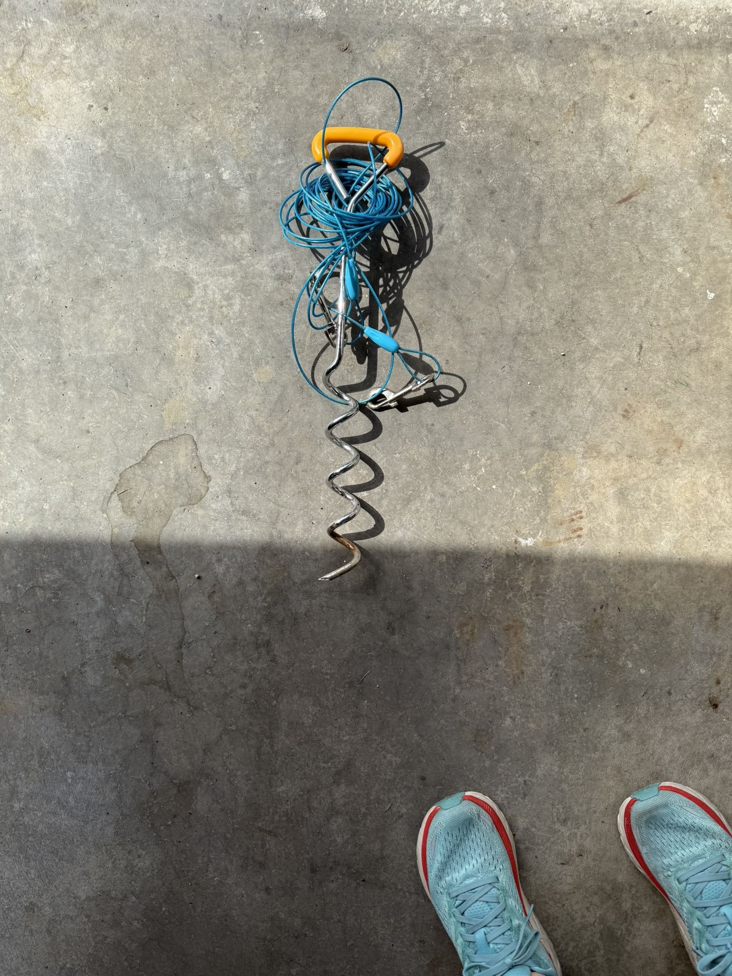 Outdoor Stake With Cable For Small Dog