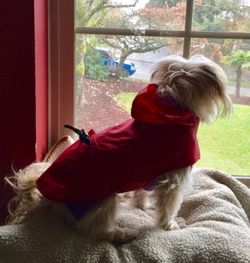 BRAND NEW RAIN COATS in ASSORTED COLORS