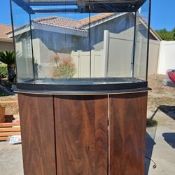36 Gallon Aquarium with Fluorescent Lights and Espresso Colored Cabinet