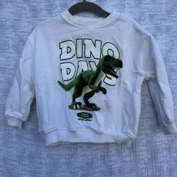 Zara toddler sweatshirt
