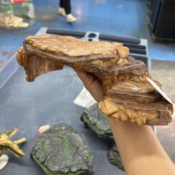 Reptile / Fish Decorations