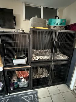 Professional pet kennels
