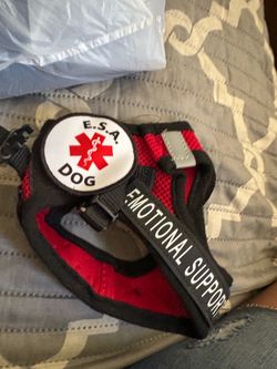 Emotional support vest $10