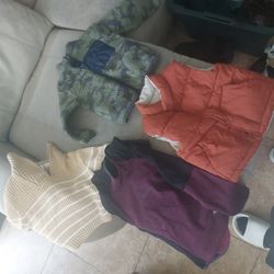 Small Boys Jackets/sweaters
