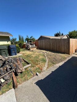 One time clean up gardening