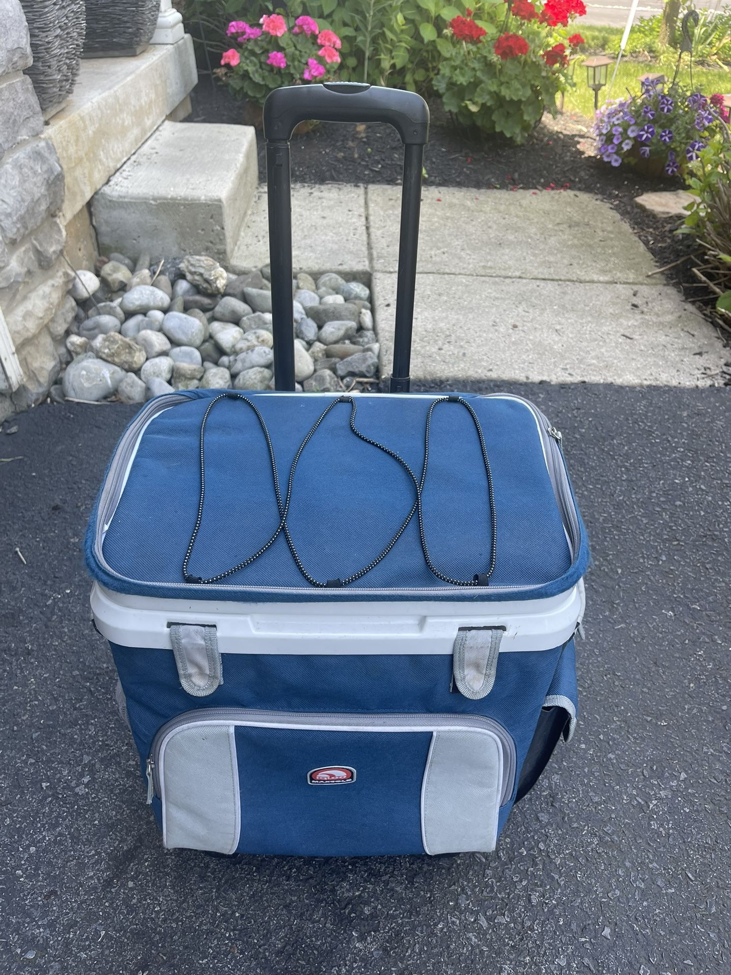 Cooler on wheels