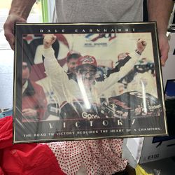 Home Decor, Dale Earnhardt Picture