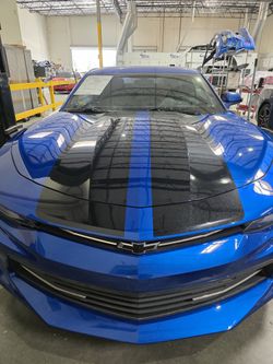 Wraps And PPF