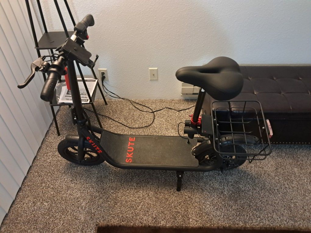 Electric Scooter 
