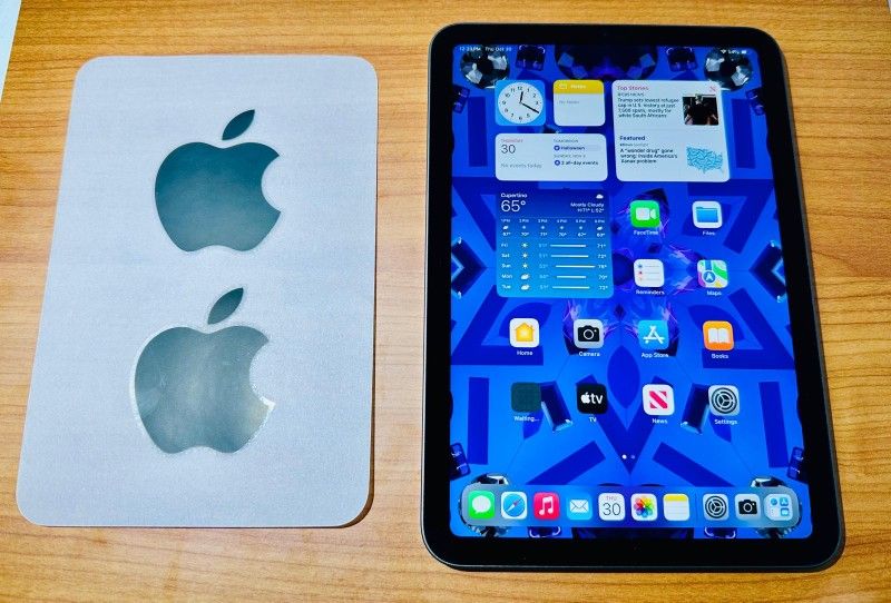 APPLE IPAD Mini 6th Gen 64GB Fully Functional