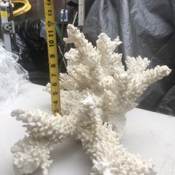 Large Vintage Coral