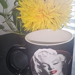 Coffee MUG awaiting Pick Up In SAN MARCOS