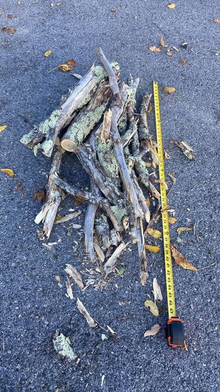 Firewood For Sale
