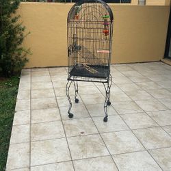Birdcage