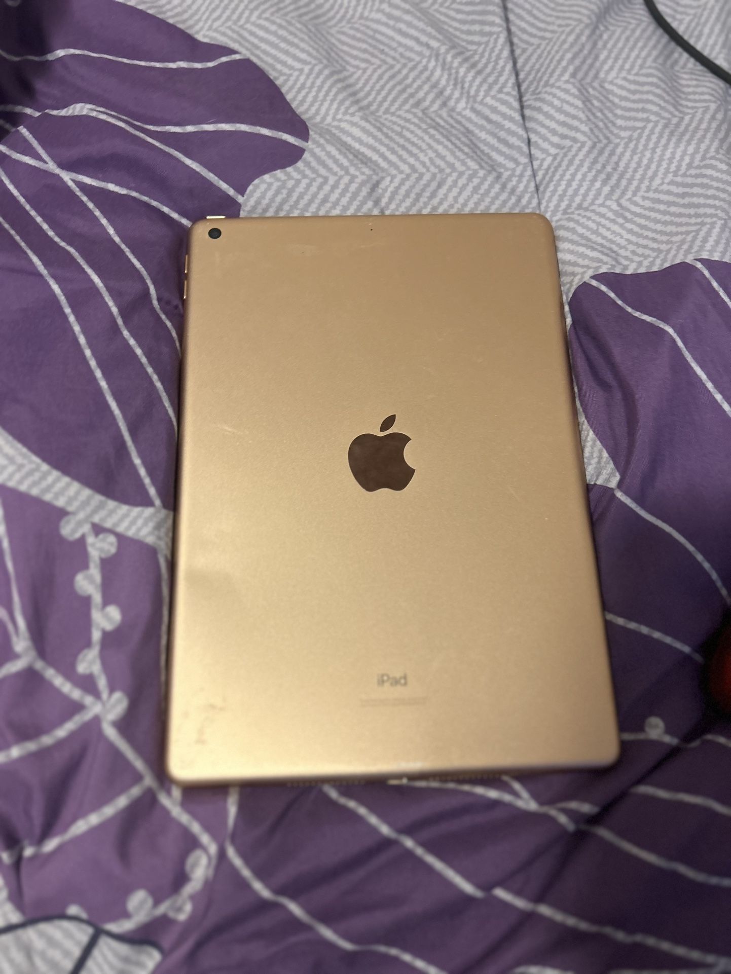 iPad